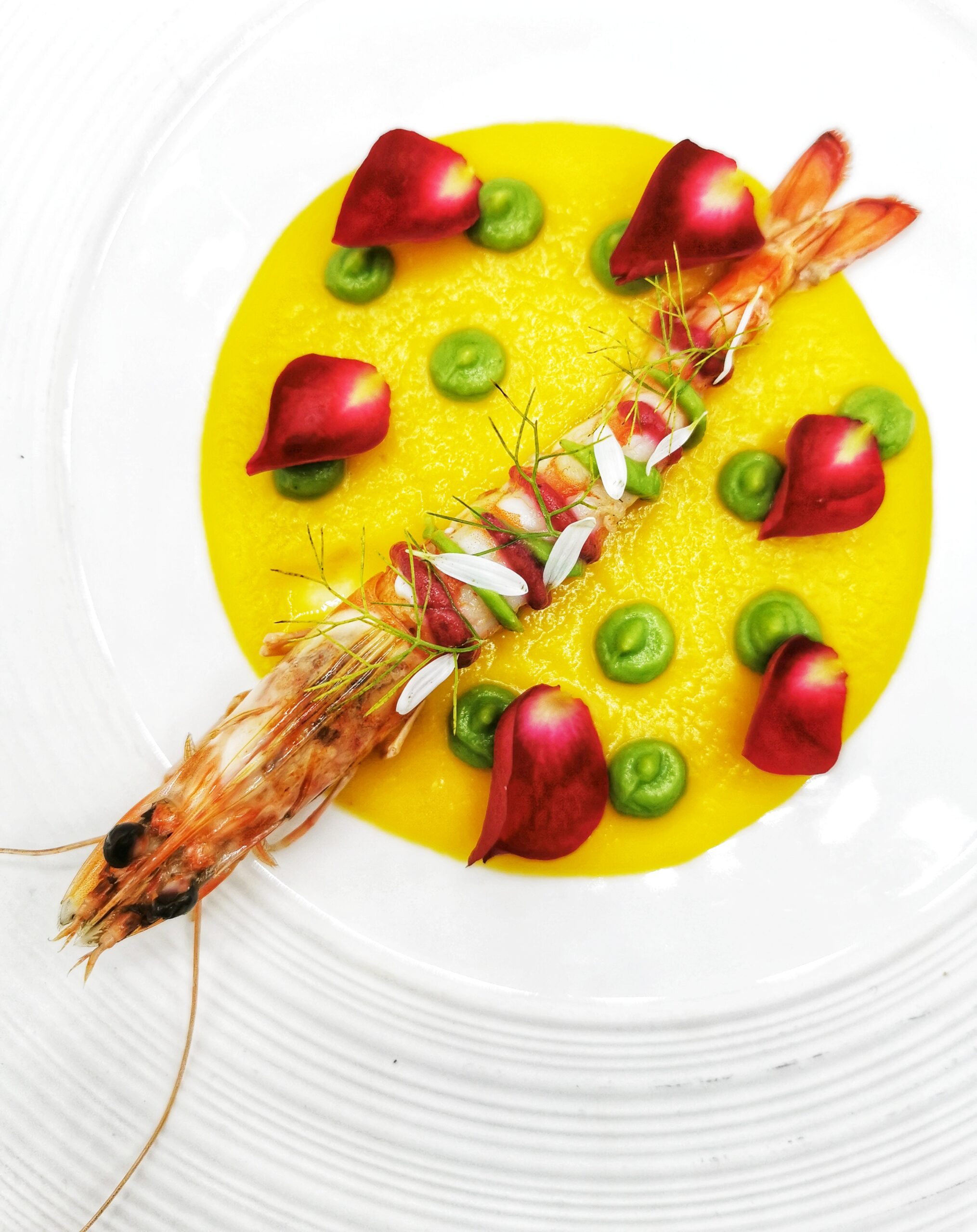 IMG_20191025_121344-01